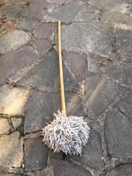 Photo of free Floor mop (Roebuck SG2) #1