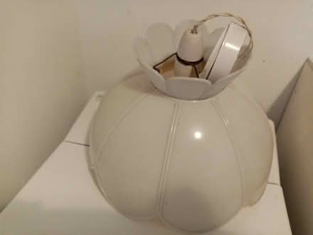 Photo of free White pendant lampshade (Emsworth PO10) #1