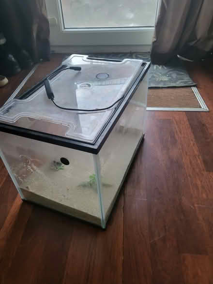 Photo of free Fish tank small (Seven kings ilford IG3) #1