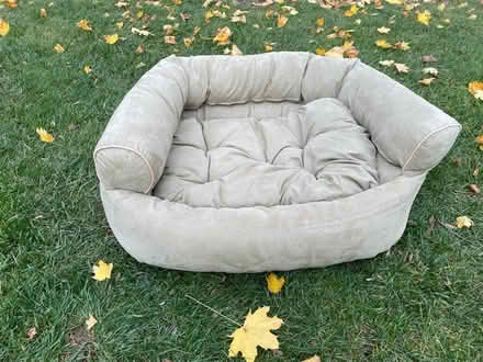 Photo of free Dog Sofa (Ellicott City) #1