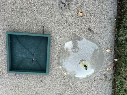 Photo of free Bird feeder & Baffle (Grand Prairie) #1