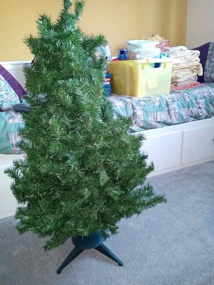 Photo of free Christmas tree (PO15 Hill Park) #1