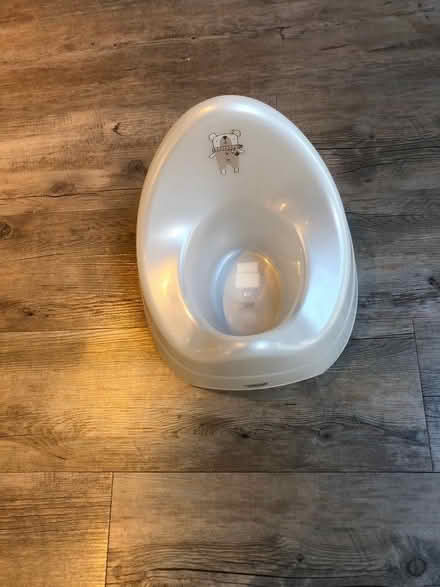 Photo of free Potty (Horspath OX33) #1