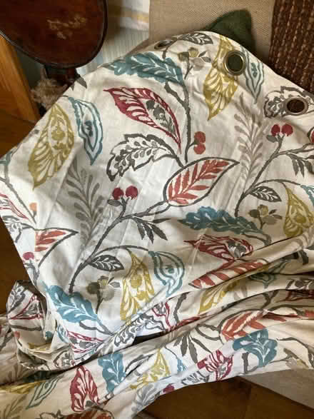 Photo of free 2x pairs long lined curtains (TN24) #1