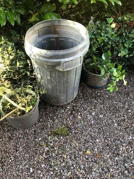 Photo of free Water butt / container / bin. No lid (Heaton Mersey SK4) #1