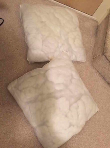 Photo of free Used - Two Micro Fibre 44 cm x 44 cm Square Cushion inners (Whiston Lane Ends L35) #2