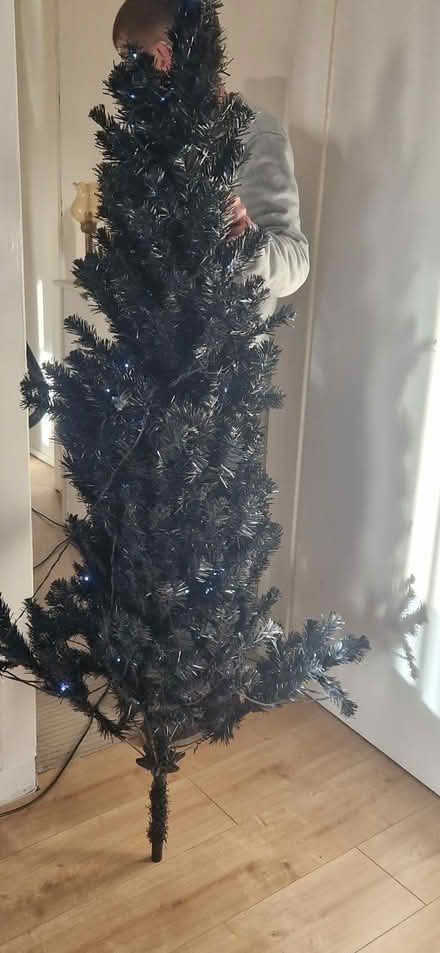 Photo of free 6ft Black Christmas Tree (Carfin ML1) #1