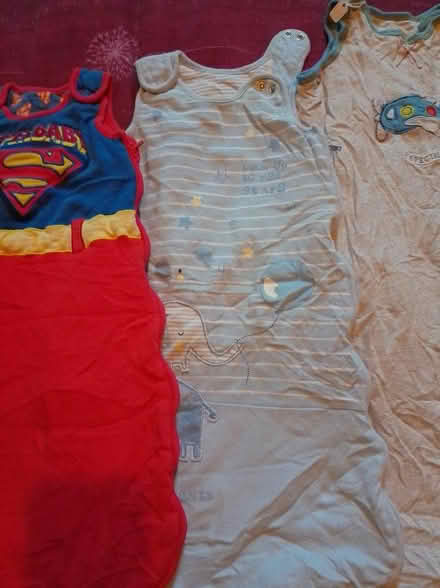 Photo of free Three 0-6 months sleeping bags (Yorkshire) #2