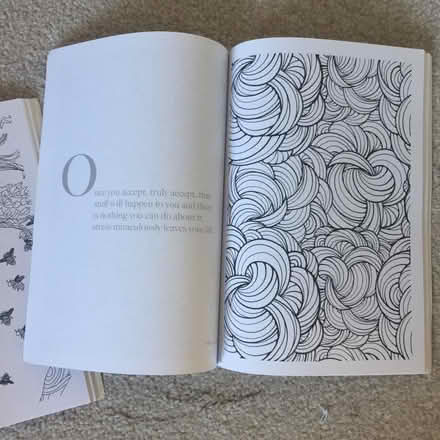Photo of free 2 Anti Stress Art Therapy Adult Colouring Books (Whiston Lane Ends L35) #2