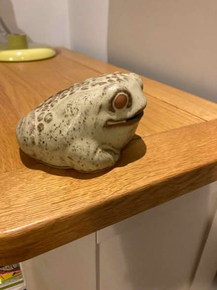 Photo of free Frog money box (CB3) #2