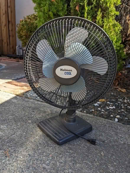 Photo of free Fans (Cupertino Public Library) #2