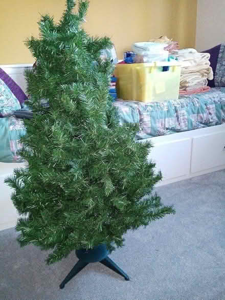 Photo of free Christmas tree (PO15 Hill Park) #1