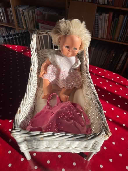 Photo of free Doll with basket-weave cot (Welwyn AL6) #2