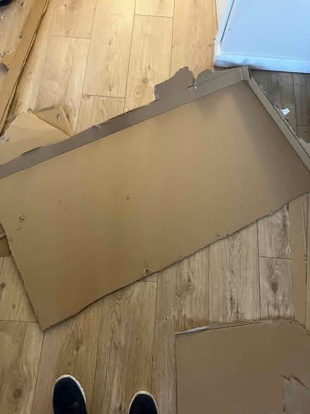 Photo of free Cardboard Large Sheets (Willingdon BN20) #1