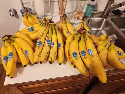 Photo of free Bananas (Lake City Way) #1