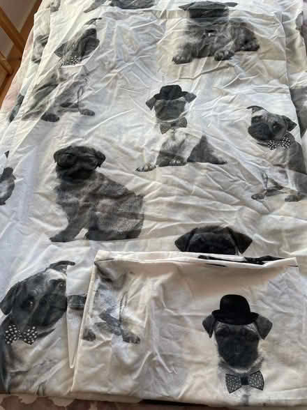 Photo of free 'PUG' Single Duvet Cover & Pillowcase (Abraham Heights LA1) #2