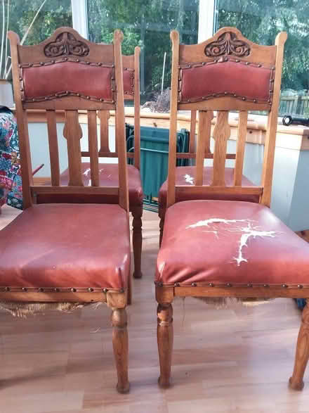 Photo of free Dining Chairs (set of 4) (Currie EH14) #2