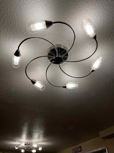 Photo of free Ceiling Lights (Hatt) #3