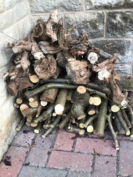 Photo of free Logs (Frome BA11) #1
