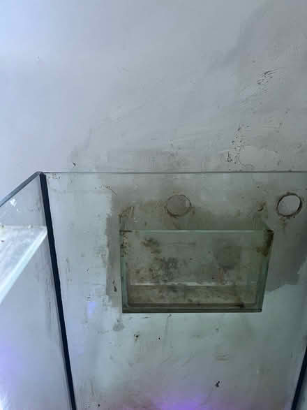 Photo of free Fish tank 48”x18”x15” (South Woodford E18) #1