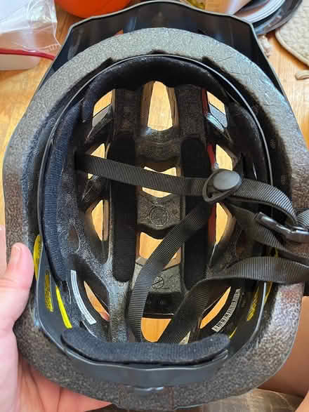 Photo of free Bike helmet (Bloomfield) #1