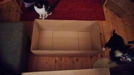 Photo of free Large Sturdy Cardboard Box with Lid (Saint Thomas Ward EX2) #3