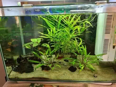 Photo of free 65 litre fish tank with heater/filter (Willen MK15) #1