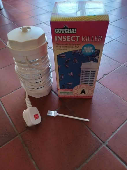 Photo of free insect killer (Nyetimber PO21) #1