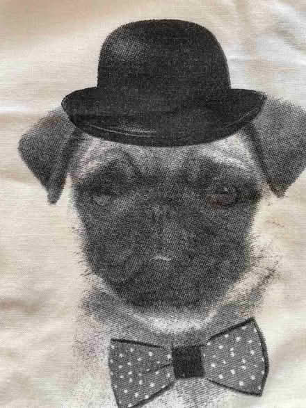 Photo of free 'PUG' Single Duvet Cover & Pillowcase (Abraham Heights LA1) #1