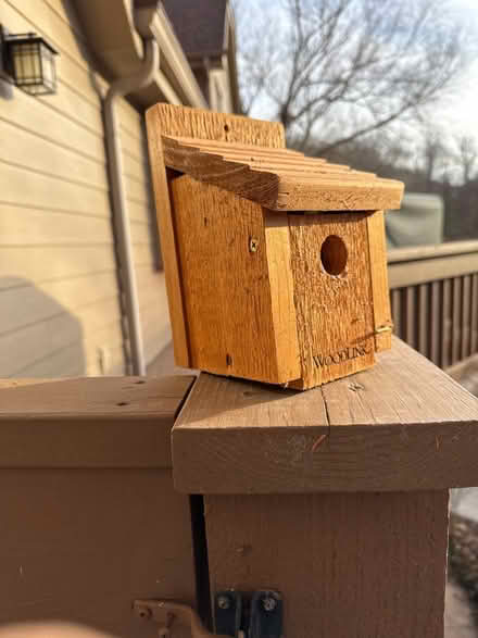 Photo of free Wren Bird House (Kehrs Mill Road& Strecker) #1