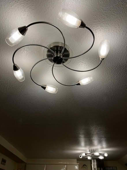 Photo of free Ceiling Lights (Hatt) #4