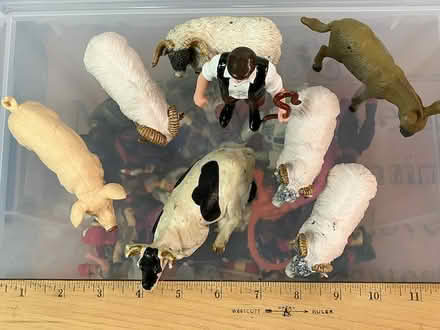 Photo of free Farm Animals (Collegeville) #2