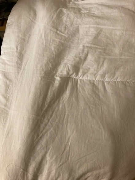 Photo of free Single duvet (E16 Custom House) #2