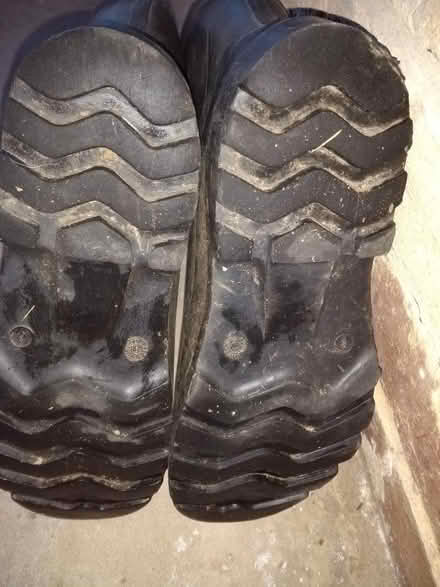 Photo of free Gents wellies size 8 (Saint Mawes Close ST17) #2