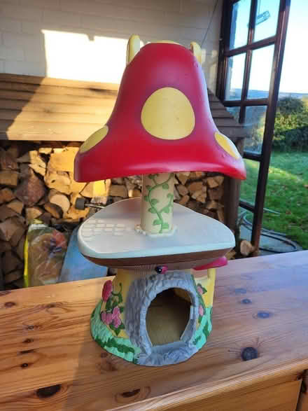 Photo of free Fairy toadstool house (Everton SO41) #2