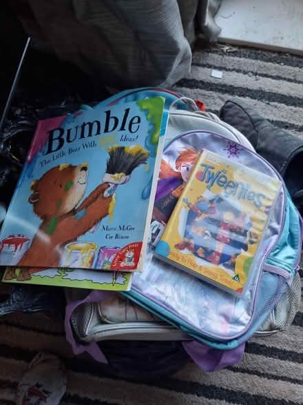 Photo of free Quality Job lot of reading books and ruck sacks plus electrictoys (Greenland S9) #1