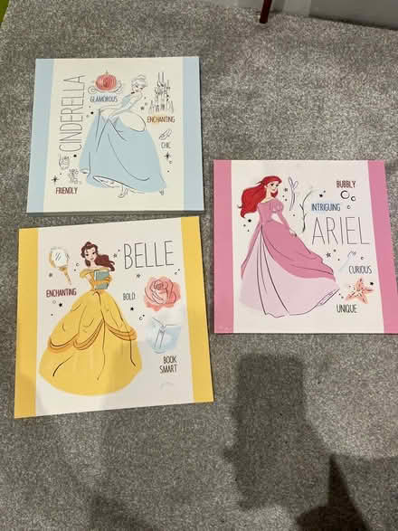 Photo of free 3 canvas of princesses (AL10) #1