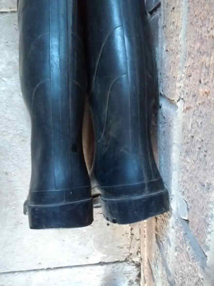 Photo of free Gents wellies size 8 (Saint Mawes Close ST17) #1