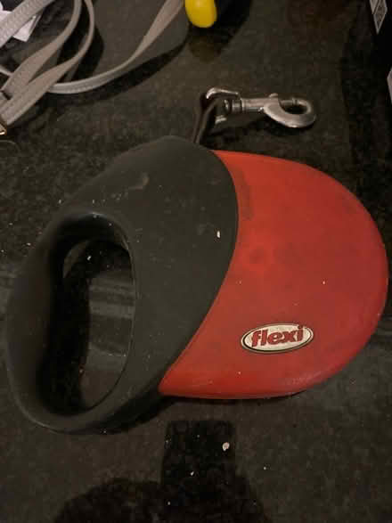 Photo of free Dog lead retractable (N6) #1
