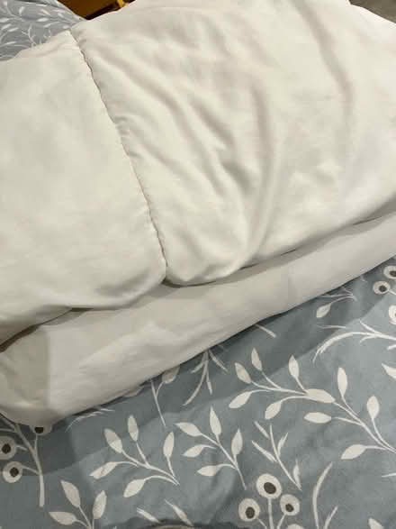Photo of free 2 single duvets, 6 pillows (AL10) #1