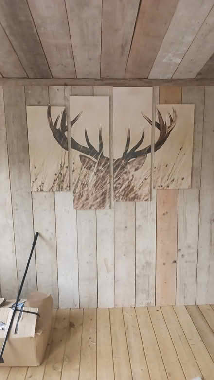 Photo of free Deer picture (Burntwood) #1