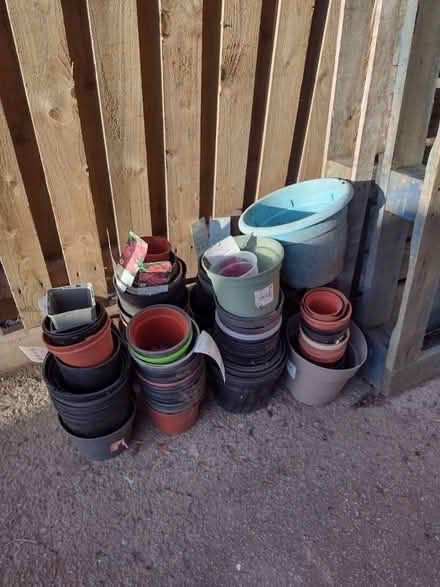 Photo of free Plant pots (Gildersome LS27) #1