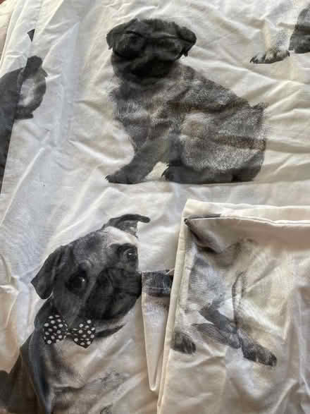 Photo of free 'PUG' Single Duvet Cover & Pillowcase (Abraham Heights LA1) #3