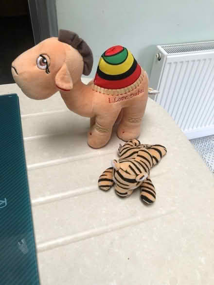 Photo of free Soft toy (City of Bristol BS16) #1