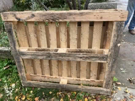 Photo of free Pallet (Whitton TW2) #1