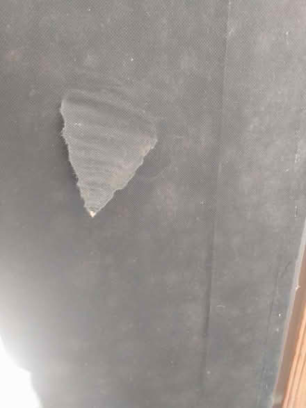 Photo of free Brown mirror (Trowbridge) #3
