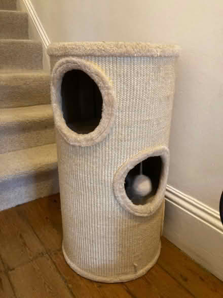 Photo of free Cat tree (Streatham Hill) #1