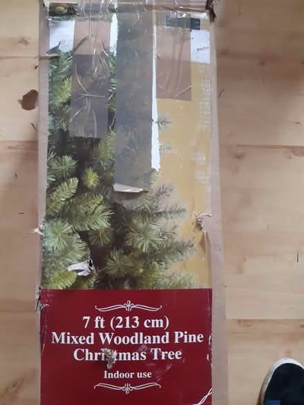 Photo of free Christmas Tree (Headington OX3) #2