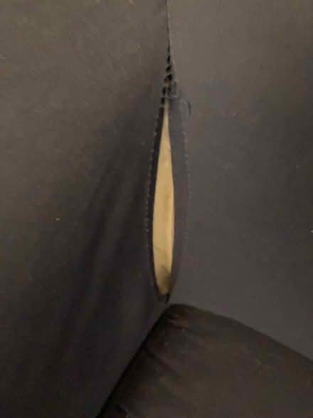 Photo of free Sofa Bed (CF24) #2