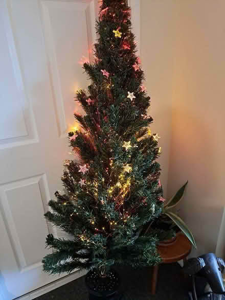 Photo of free 6ft fibre optic tree (melksham east SN12) #2